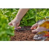 Gardena T-stuk voor sproeikoppen / einddruppelaars 4,6 mm (3/16") 13216-20