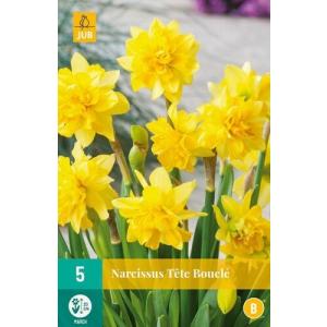 Narcis Tete Bouclé "B"