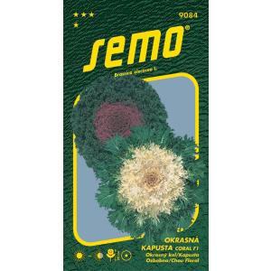 Semo Kel sierplant Coral F1 mix 20 stuks