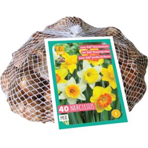 XXL Narcis Large Cupped Mix 40 bollen