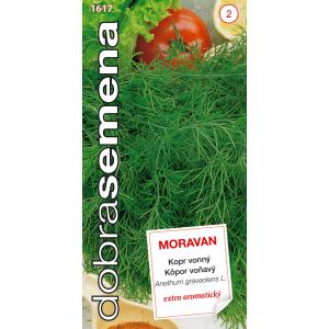 Goede zaden: Dille Moravan 3 g