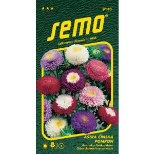 Semo Astra Chinese pomponmix 0,5 g