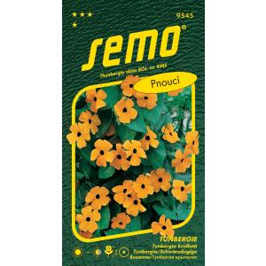 Semo Zuzana Tunbergia met zwarte ogen, oranje, met een oog, 1 g
