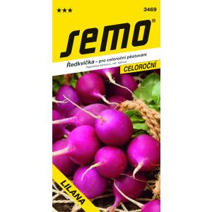 Semo Paarse radijs Lilana, snelgroeiend, het hele jaar door, 5 g
