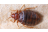 Redakcia