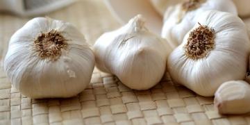 Alles over het telen van knoflook: van het planten tot het drogen en bewaren