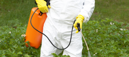 U beschouwt deze 11 biologische en chemische insecticiden als de beste