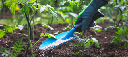 De 5 best verkochte tuinproducten