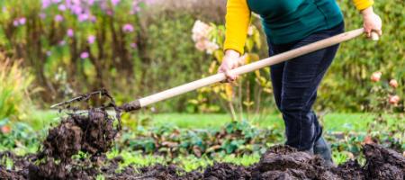 Welke herfstmeststoffen zijn het meest geschikt om planten winterklaar te maken?