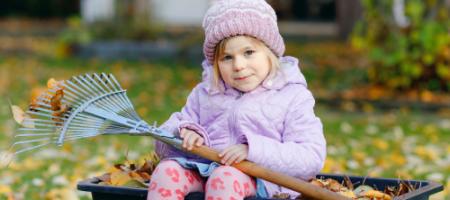 Verzorging ook na de zomer: wat valt er in de herfst in de tuin te doen?